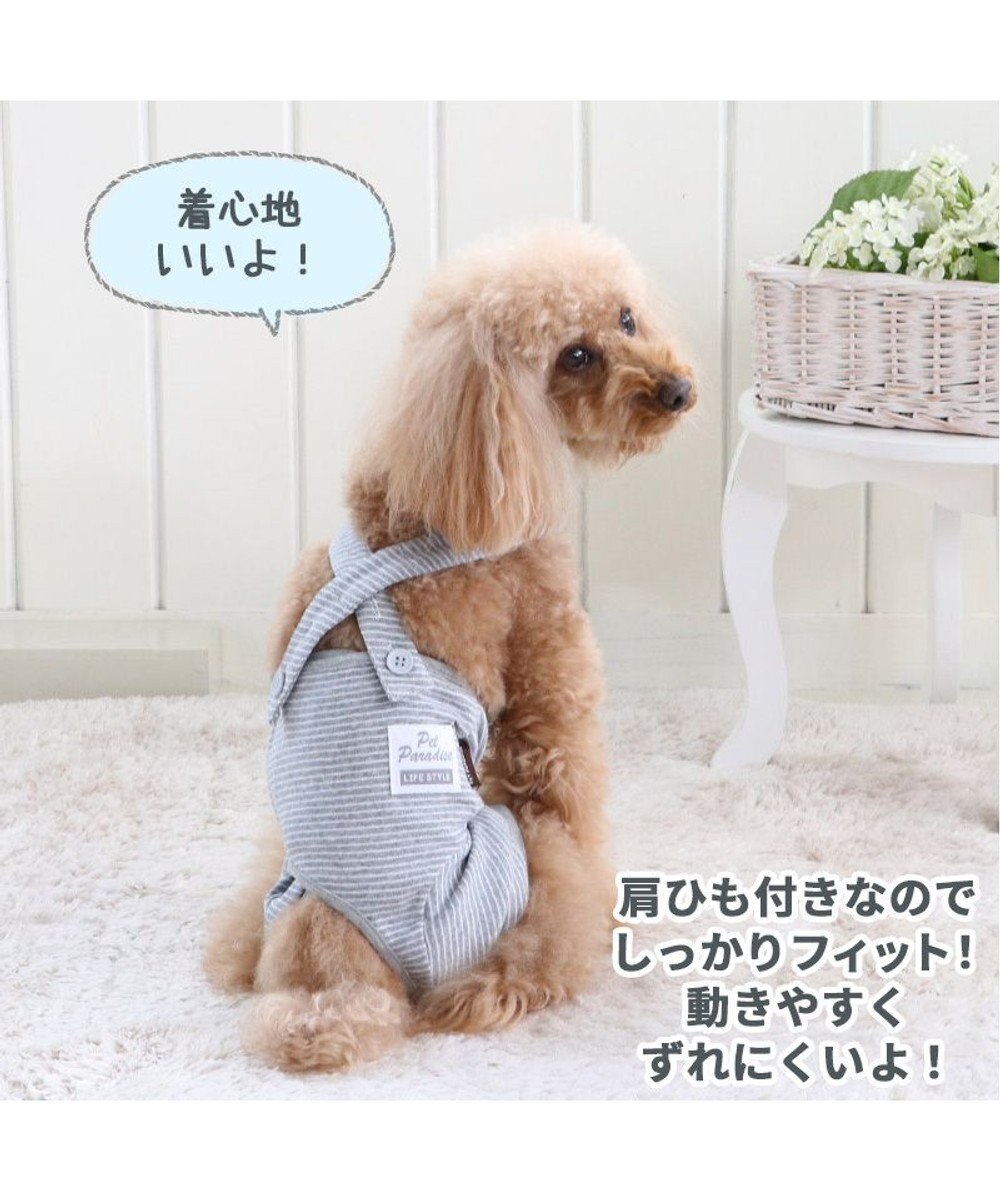 犬 服 夏服 マナーオール グレー 小型犬 オムツ おむつ 術後服 サニタリー マナーベルト マナーパンツ Pet Paradise ファッション通販 公式通販 オンワード クローゼット