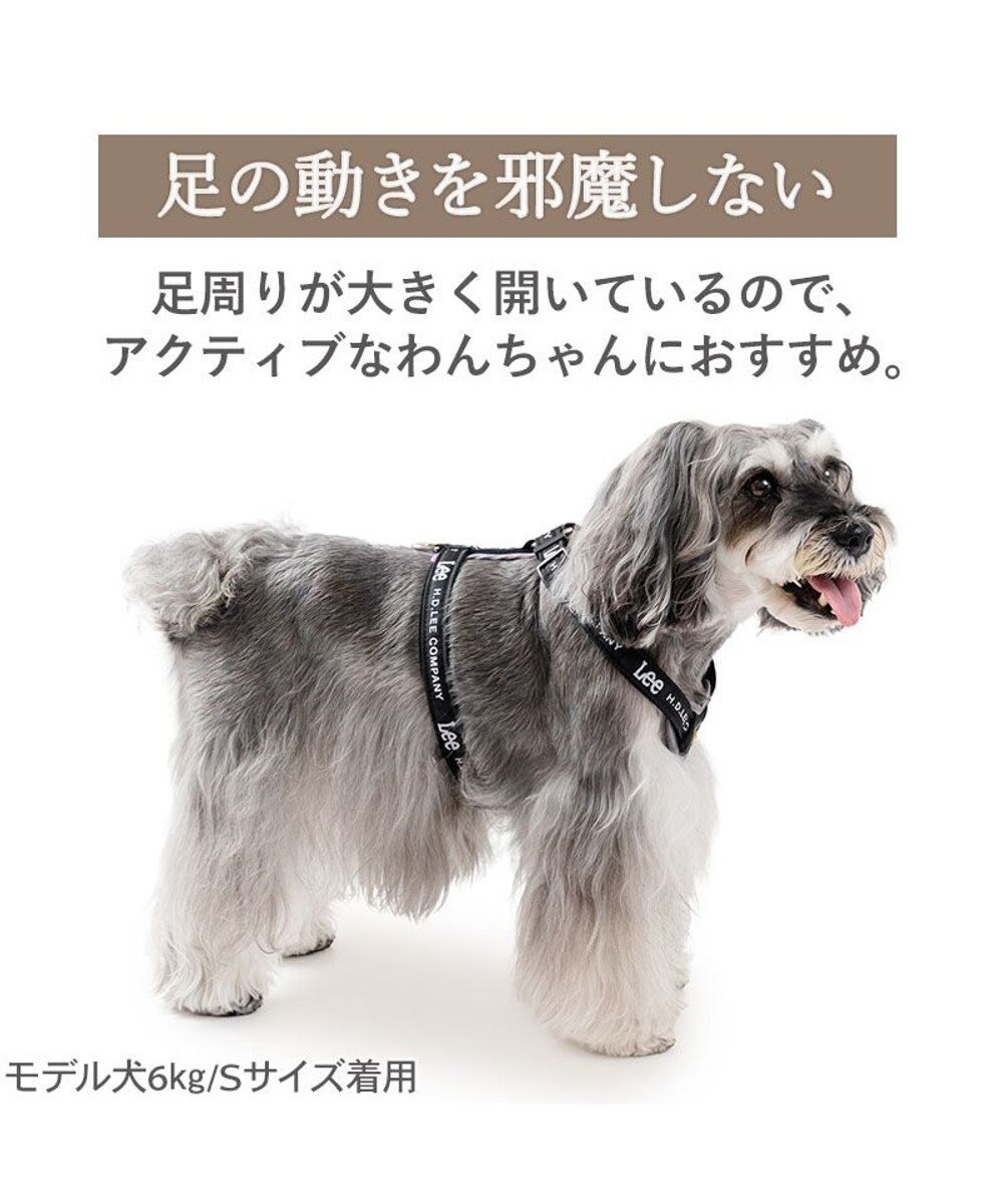 PET PARADISE Lee ロゴアクティブ ハーネス ＳＳ 