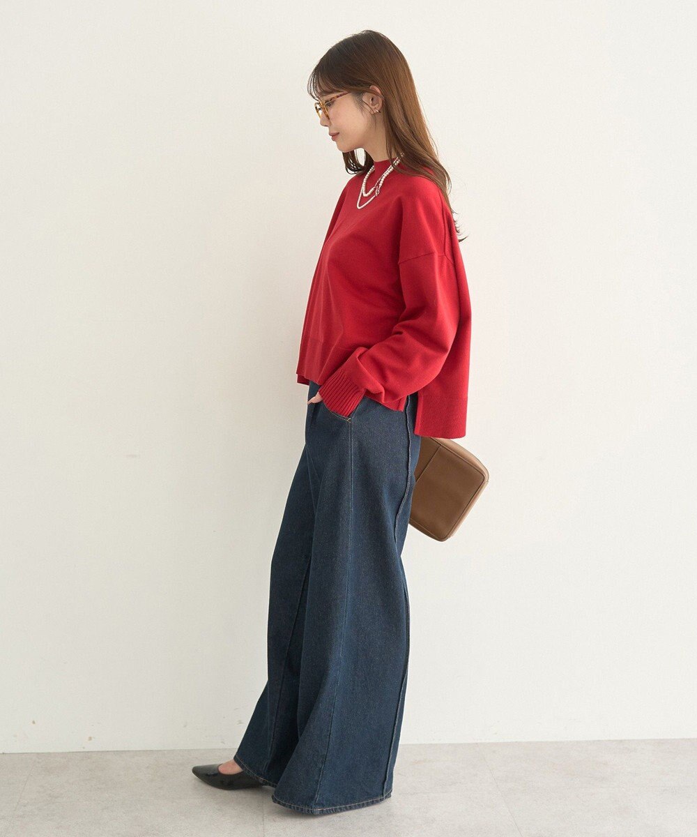 earth music&ecology 【毛玉防止 / 洗濯機洗い可】選べる丈ハイネックニット 