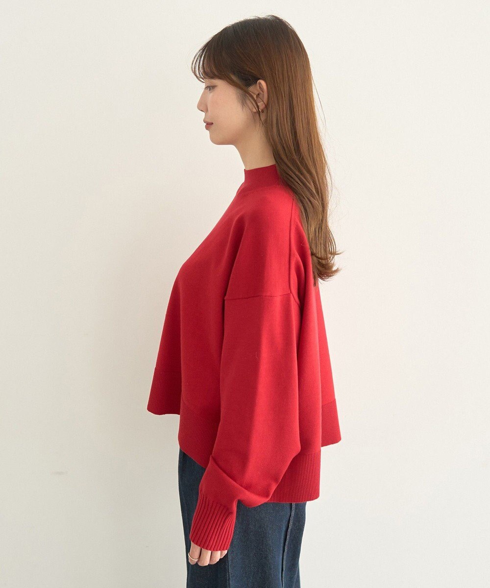 earth music&ecology 【毛玉防止 / 洗濯機洗い可】選べる丈ハイネックニット 