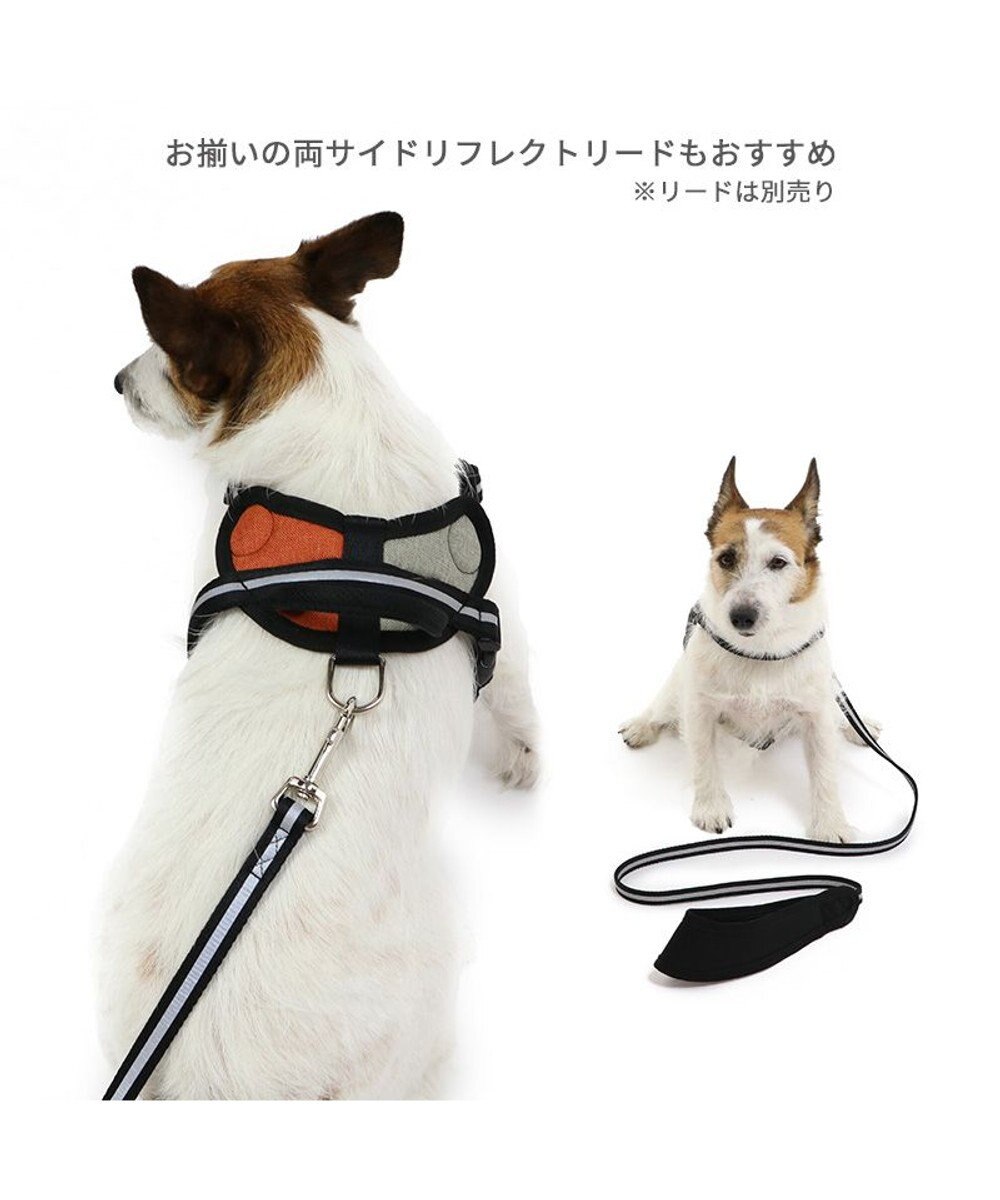 PET PARADISE ヘッドインハーネス 【ＳＳ】 オレンジ / ブルー 【小型犬】 