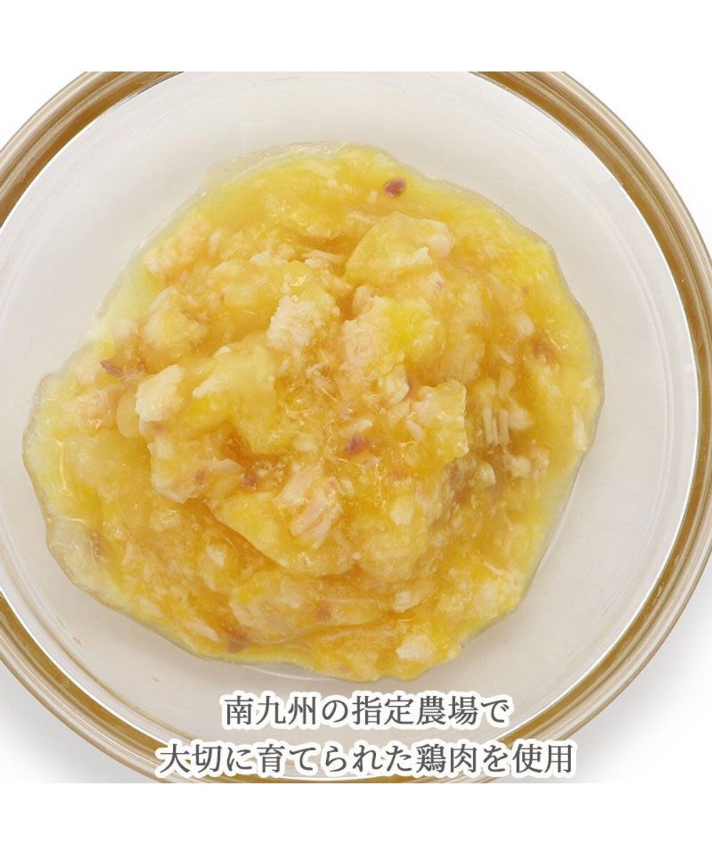 PET PARADISE リアルフード パウチスープ 《砂肝＆パンプキン》 50g×3パック 国産 