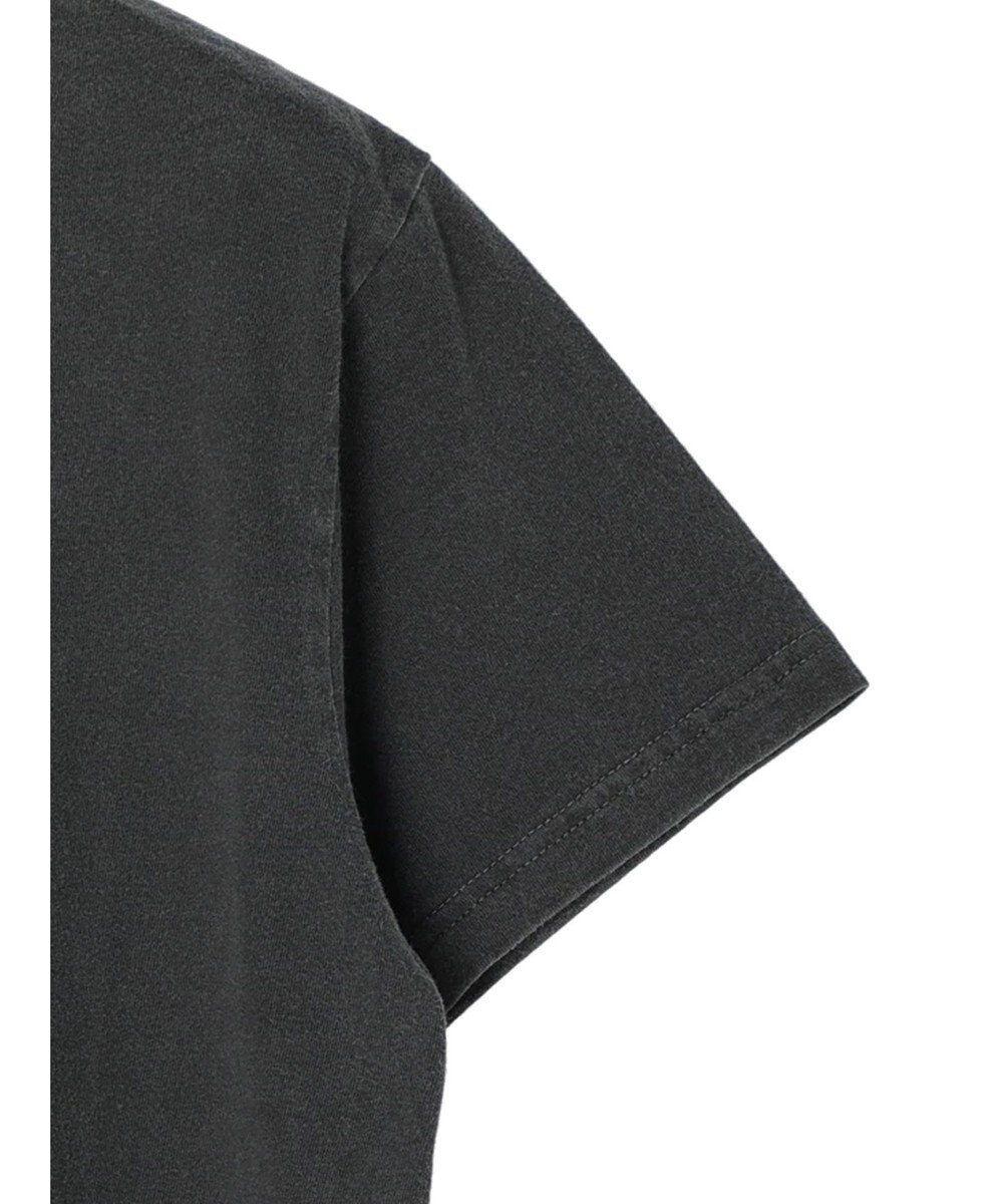 Green Parks ■ＪＵＲＡＳＳＩＣ　ＰＡＲＫ　コラージュｐｃＴ 