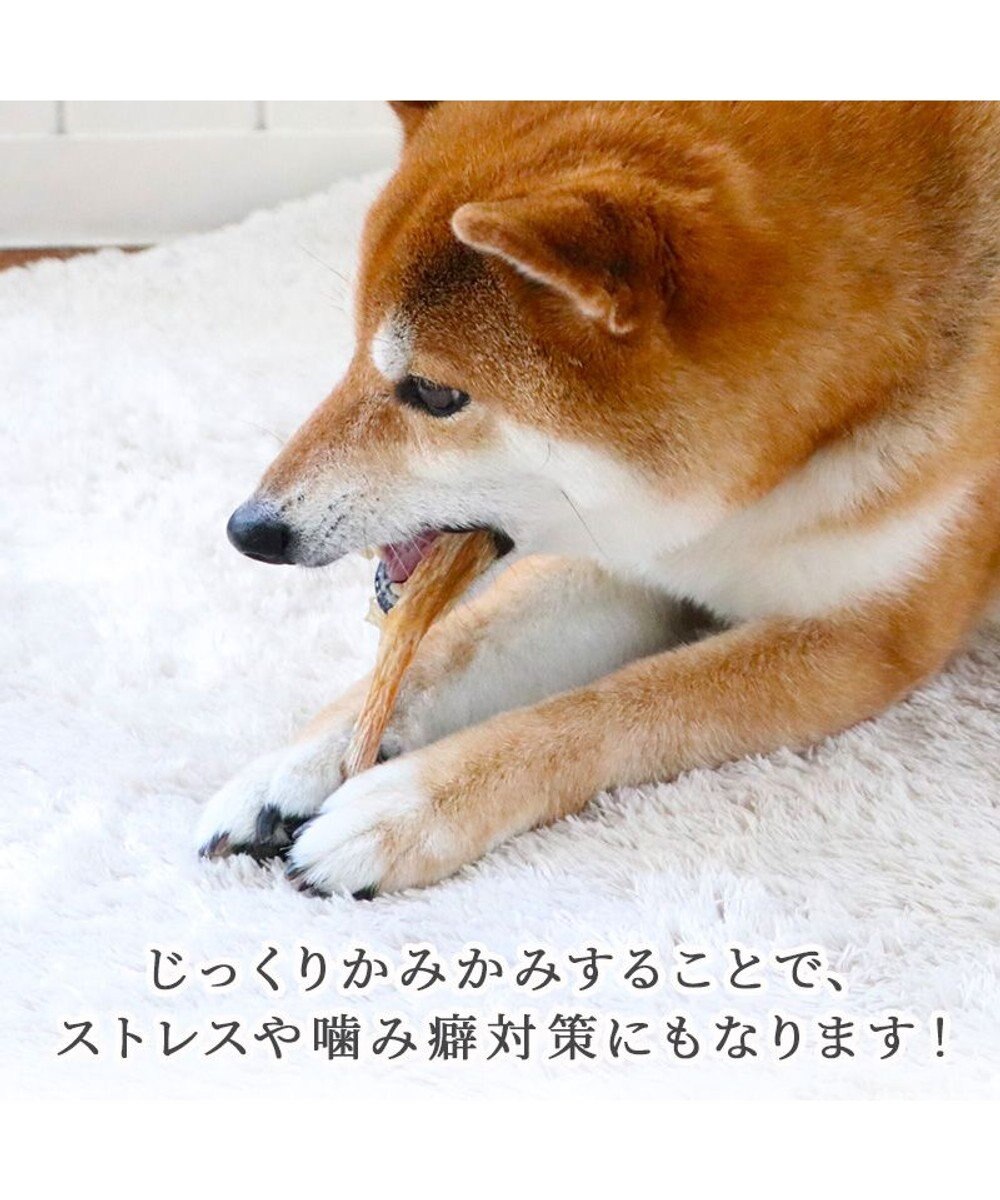 PET PARADISE 馬アキレス デンタル ジャーキー 100g 国産 