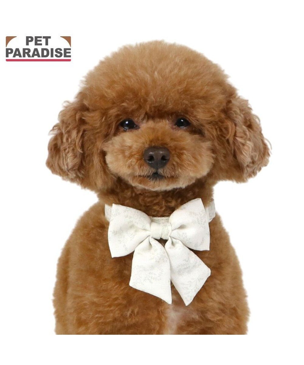 PET PARADISE ペットパラダイス 花柄りぼん 首輪 ３Ｓ 小型犬 