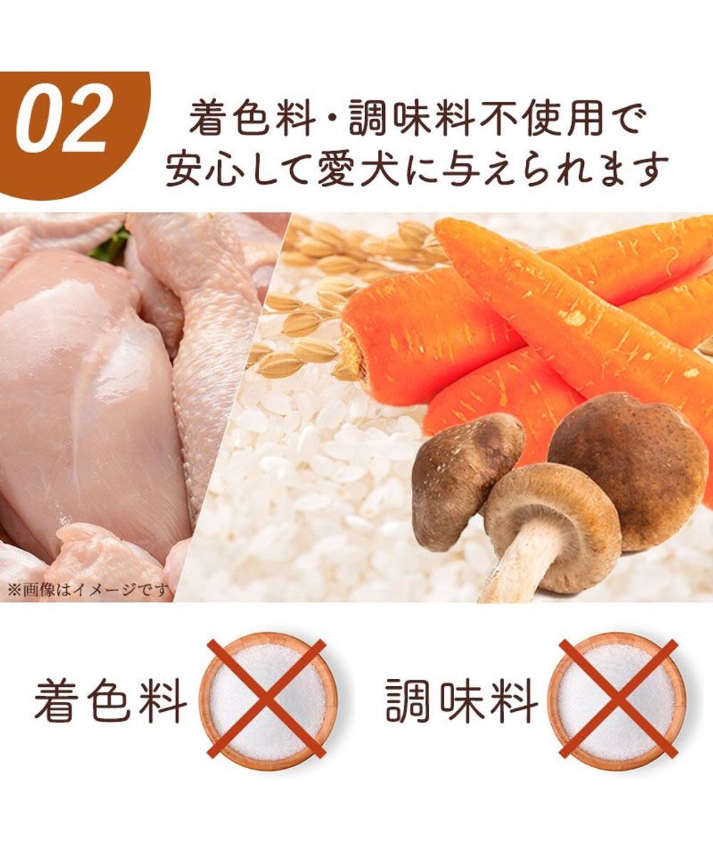 PET PARADISE 愛犬にやさしい スープごはん 鶏 