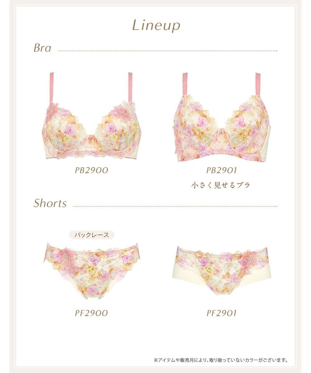 Wing ブラジャー 小さく見せるブラ Wing Lesiage 脇すっきり 背中すっきり 【2900シリーズ】 ブラ PB2901 ウイング／ワコール 