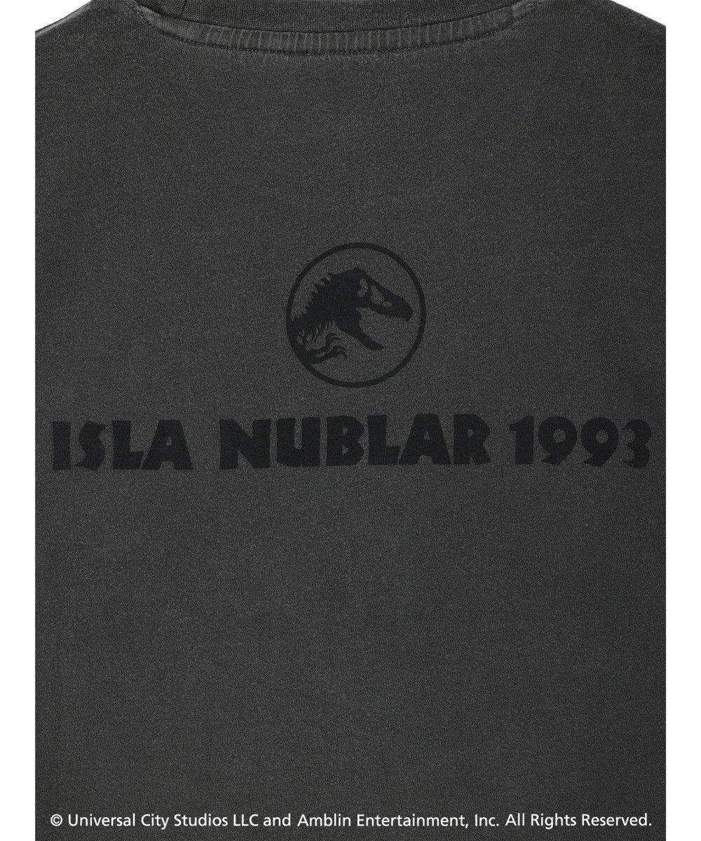 Green Parks ■ＪＵＲＡＳＳＩＣ　ＰＡＲＫ　コラージュｐｃＴ 