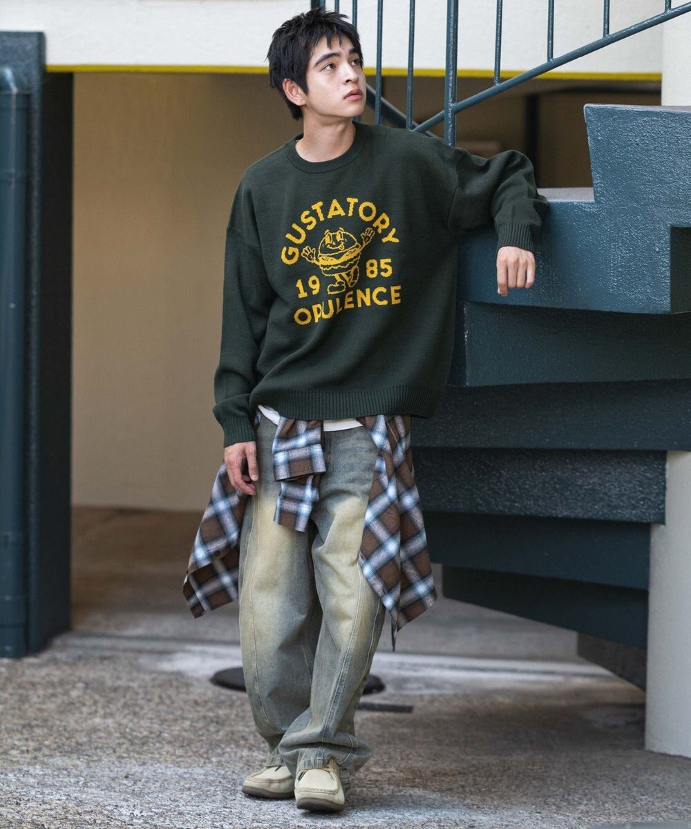 WEGO 【ユニセックス着用ITEM/SMLサイズ展開】ジャガードグラフィックプルオーバー 