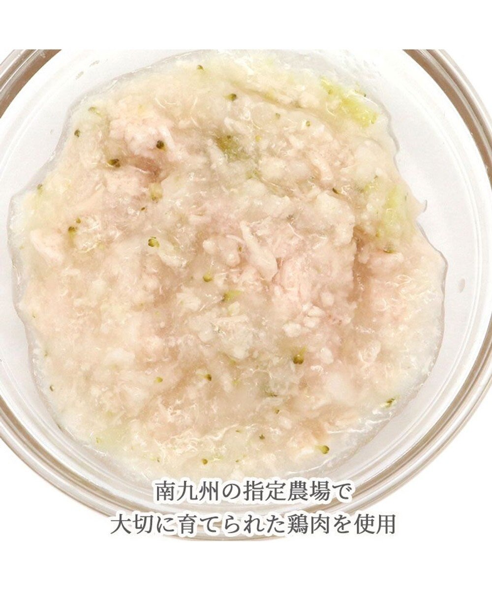 PET PARADISE リアルフード パウチスープ チキン＆ブロッコリー 50g×3パック 国産 