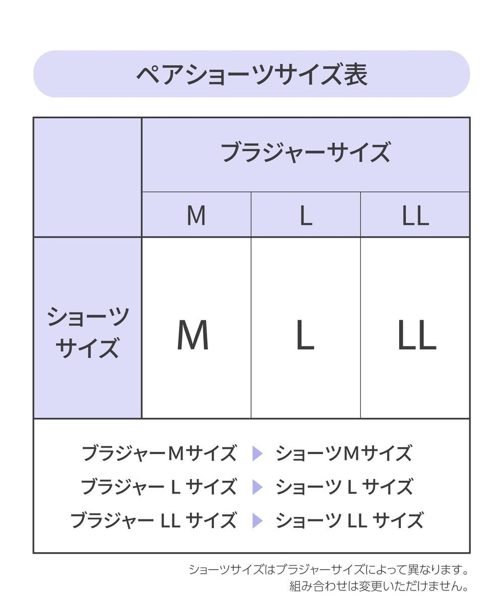 Wing 【2024年HAPPY BAG】 Wing （ブラジャーショーツセット 2セット ノンワイヤーブラ） 