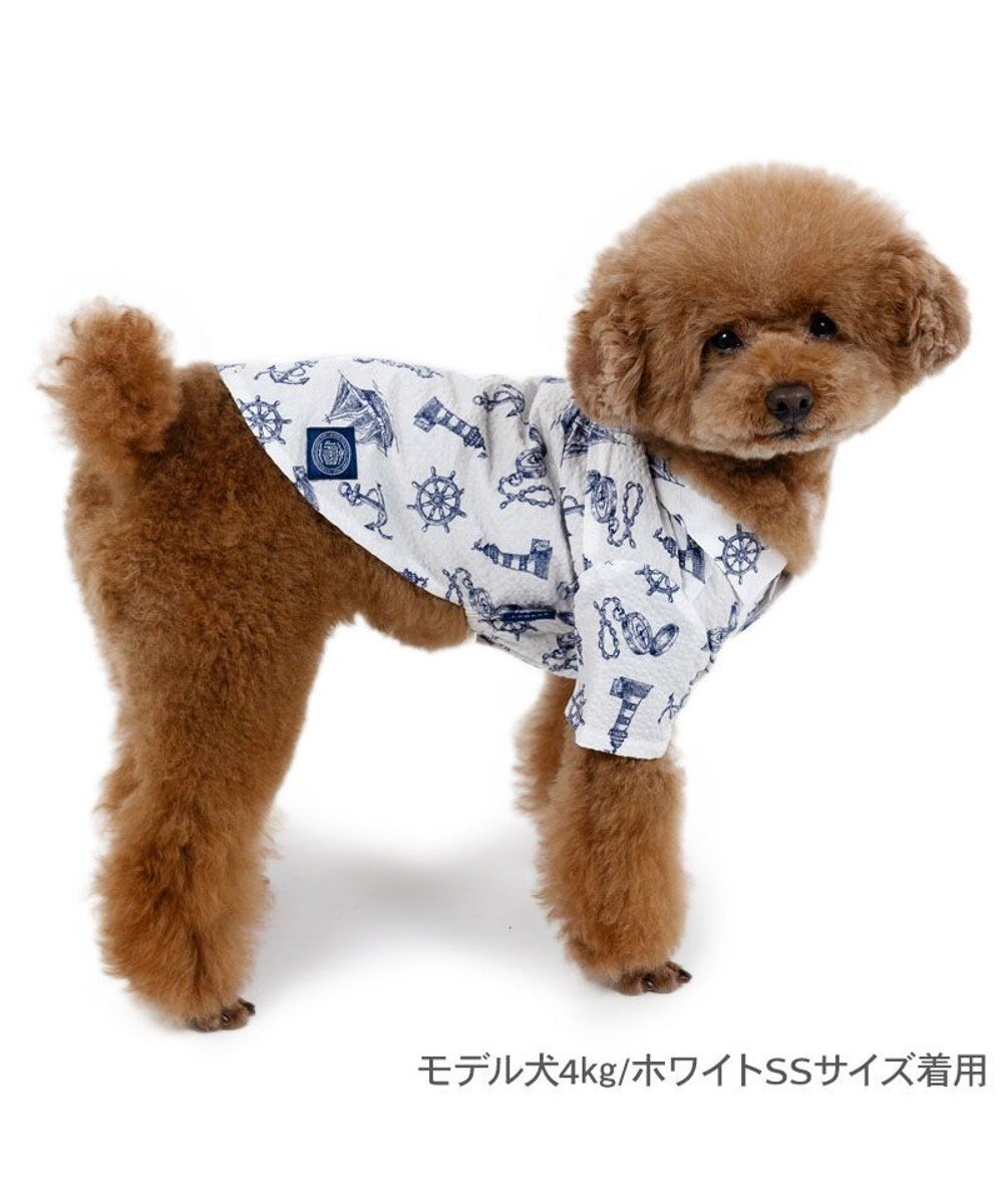 PET PARADISE J.PRESS マリンシャツ  《 ホワイト》 小型犬 