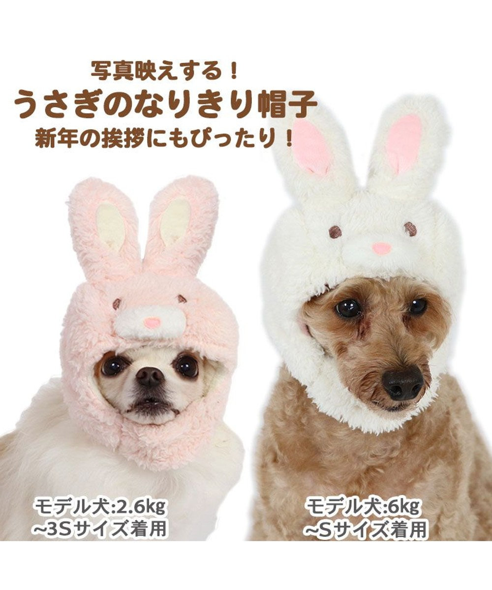 2002年春 犬猫用 うさぎニット帽Mサイズ - 通販 - www.drelciopiresjr 