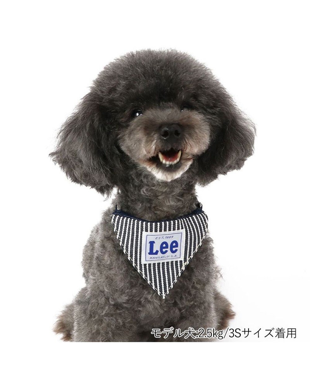 PET PARADISE Ｌｅｅ ヒッコリー 両面バンダナ付き 首輪【ＳＳ】 