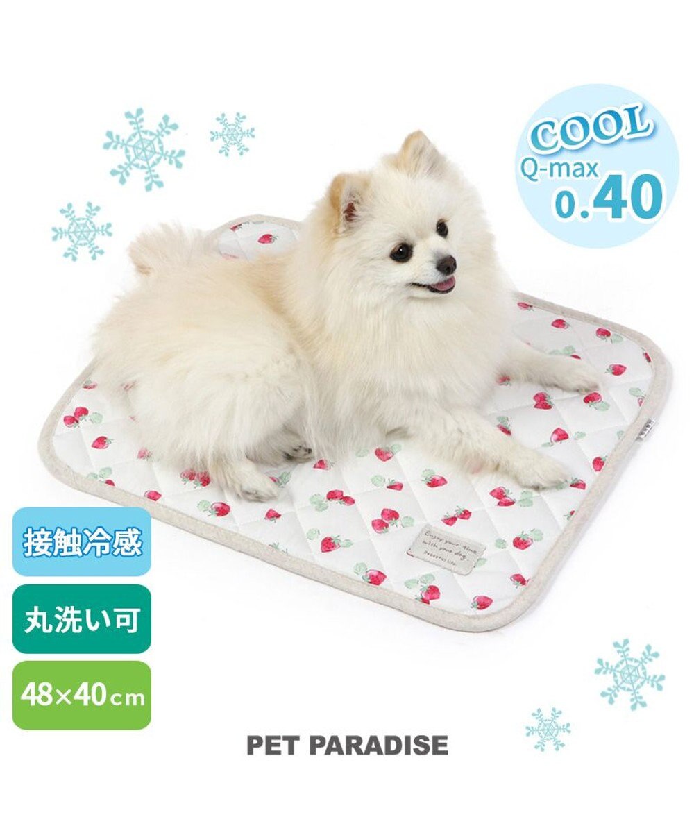 PET PARADISE 犬 クール マット 冷感 柔らか クールマット (48×40cm) 苺 くまちゃん ネイティブ 接触冷感 ひんやり ペット 