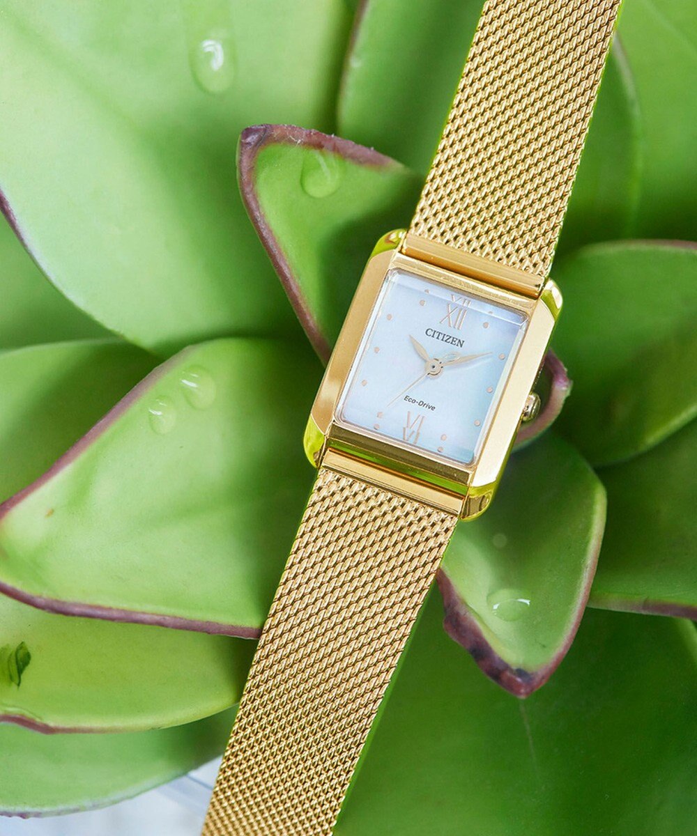 CITIZEN 【光発電エコ・ドライブ】ハンサムなスクエアケース 替えバンド付き ウォームゴールド レッド 