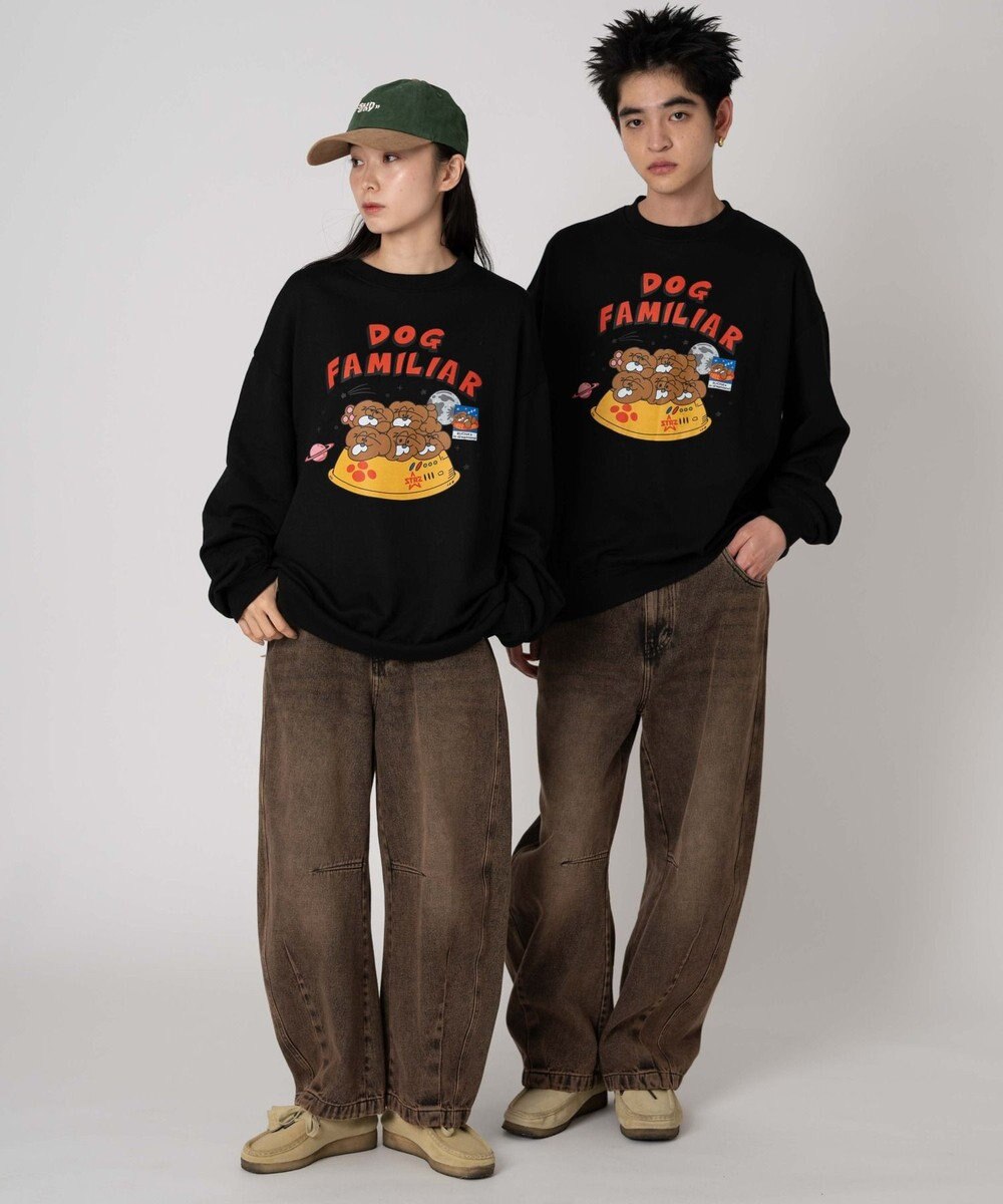 WEGO 【ユニセックス着用ITEM/SMLサイズ展開】アソートグラフィックプルオーバー（2） 