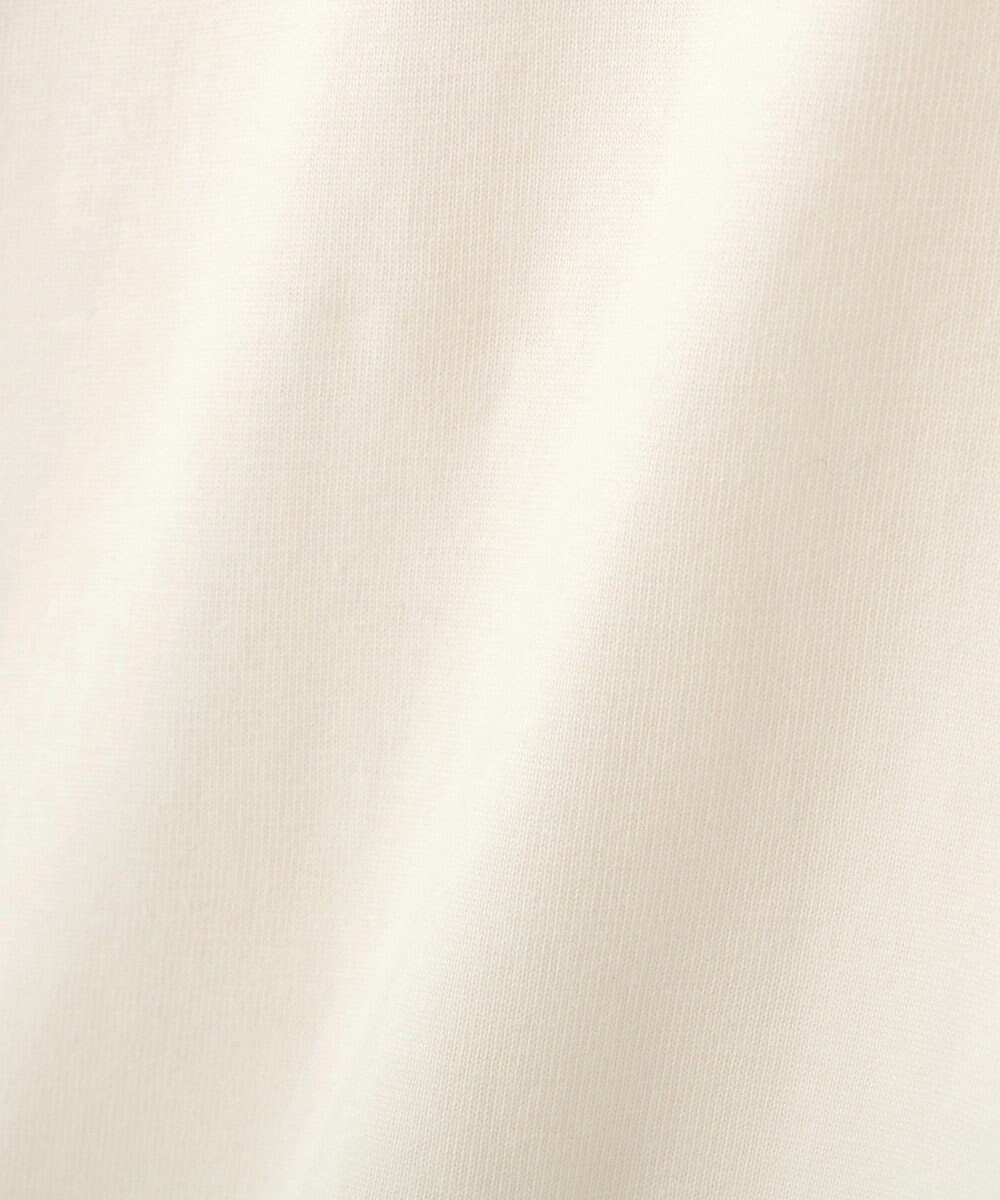 AMERICAN HOLIC NURTURING 刺繍ロゴロンT 