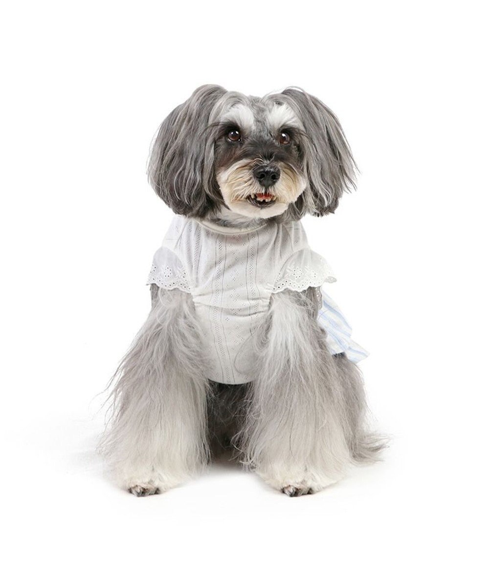 PET PARADISE ペットパラダイス ストライプ ワンピース 小型犬 