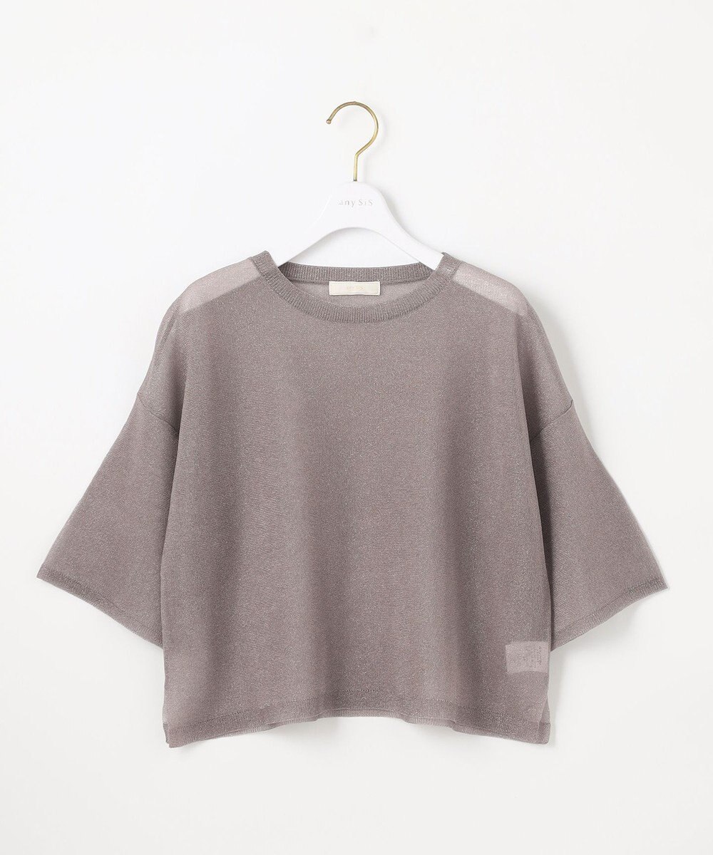 ANY SIS L 【洗える】シアー ニットT 