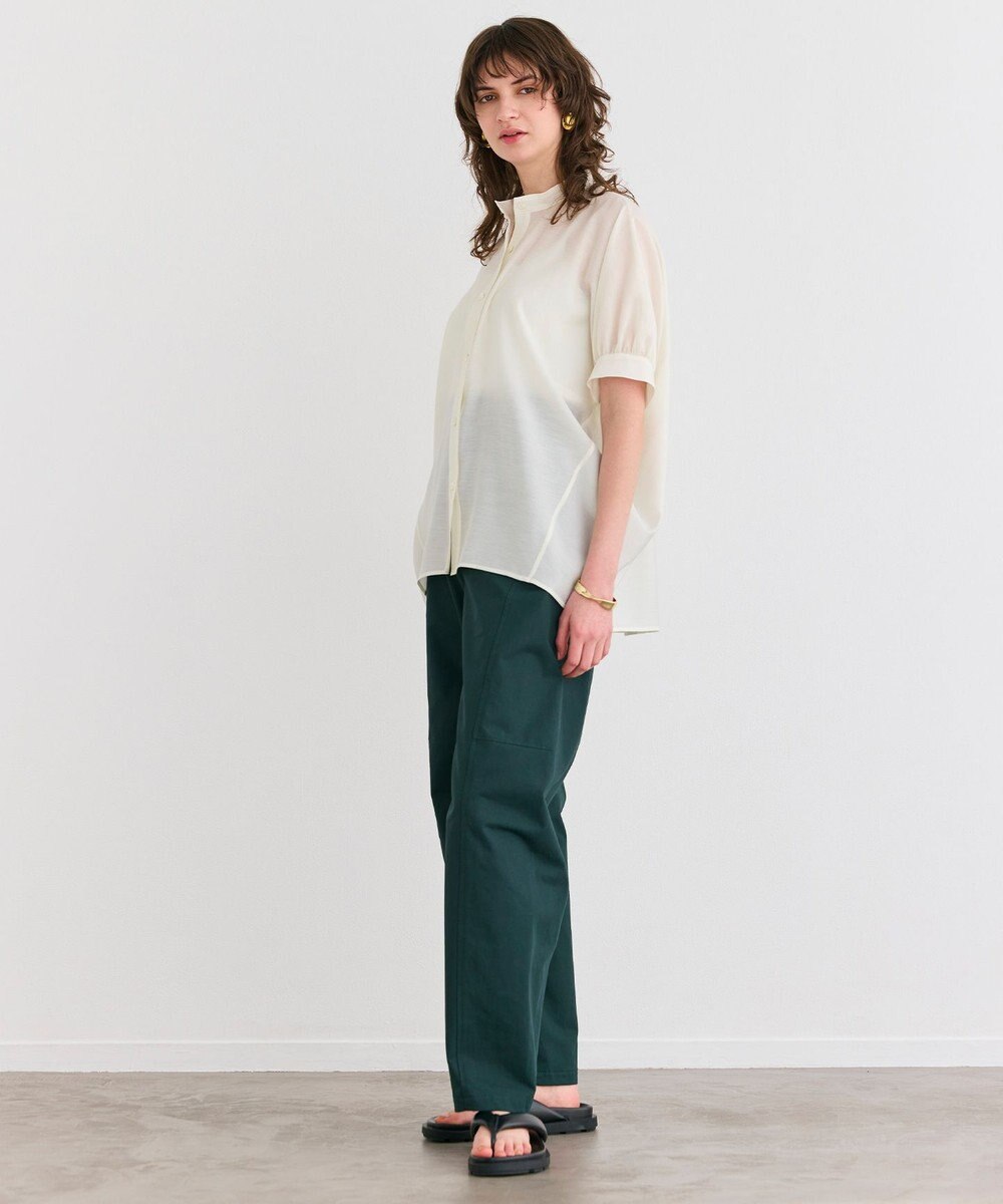 BEIGE， 【洗える】AMARYLLIS / シアーパフオーバーサイズブラウス 