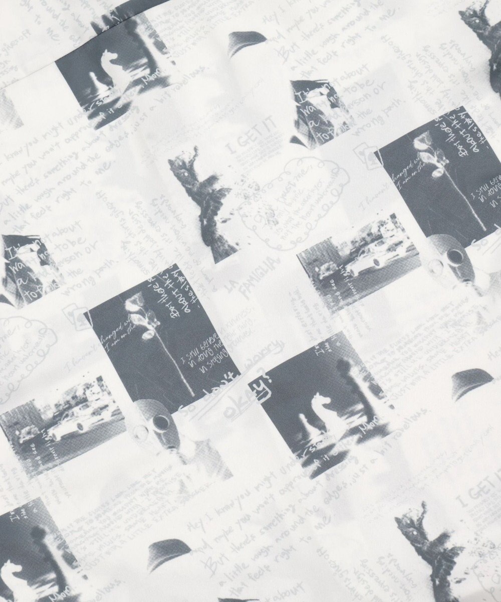 WEGO アムンゼンパターンBIGシャツ（SS） 