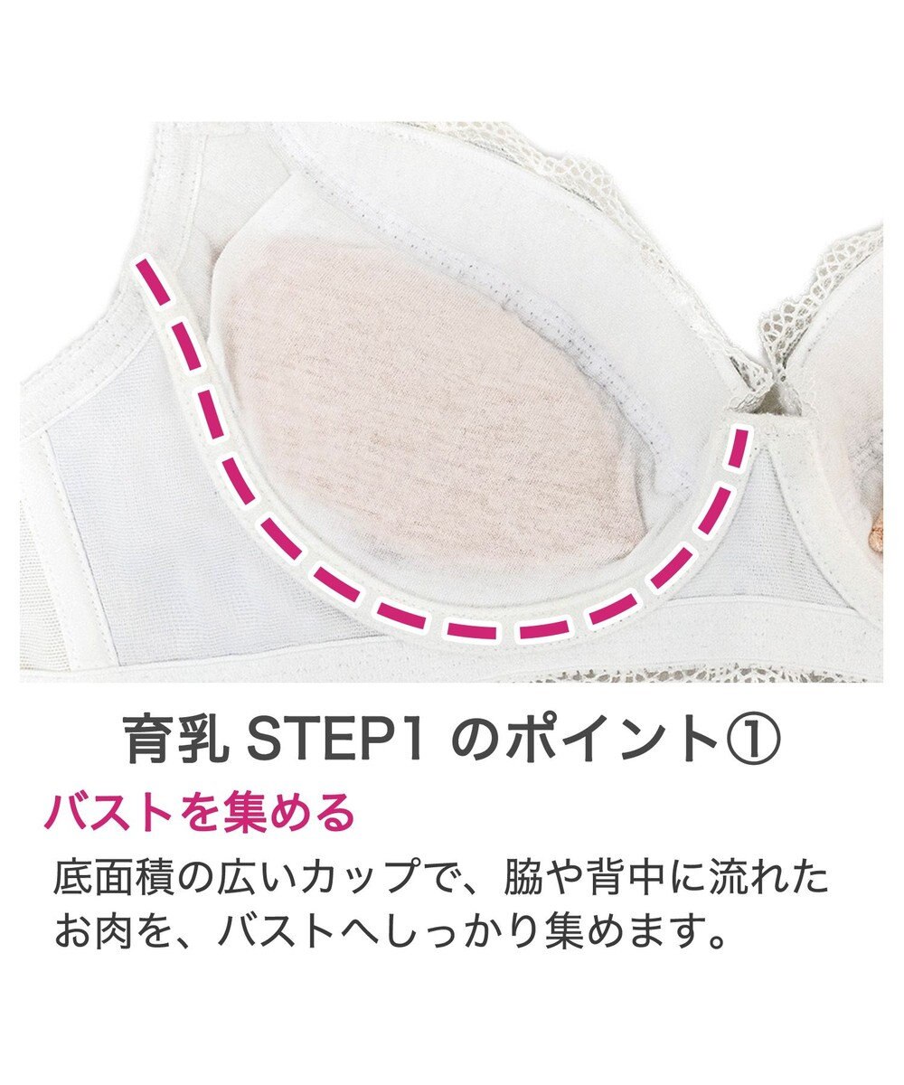 BRADELIS New York 【BRADELIS New York / 育乳補整ブラ・STEP1 集める】ウェンディステップ1ブラ24A2 ブラデリス ブラジャー 補正 