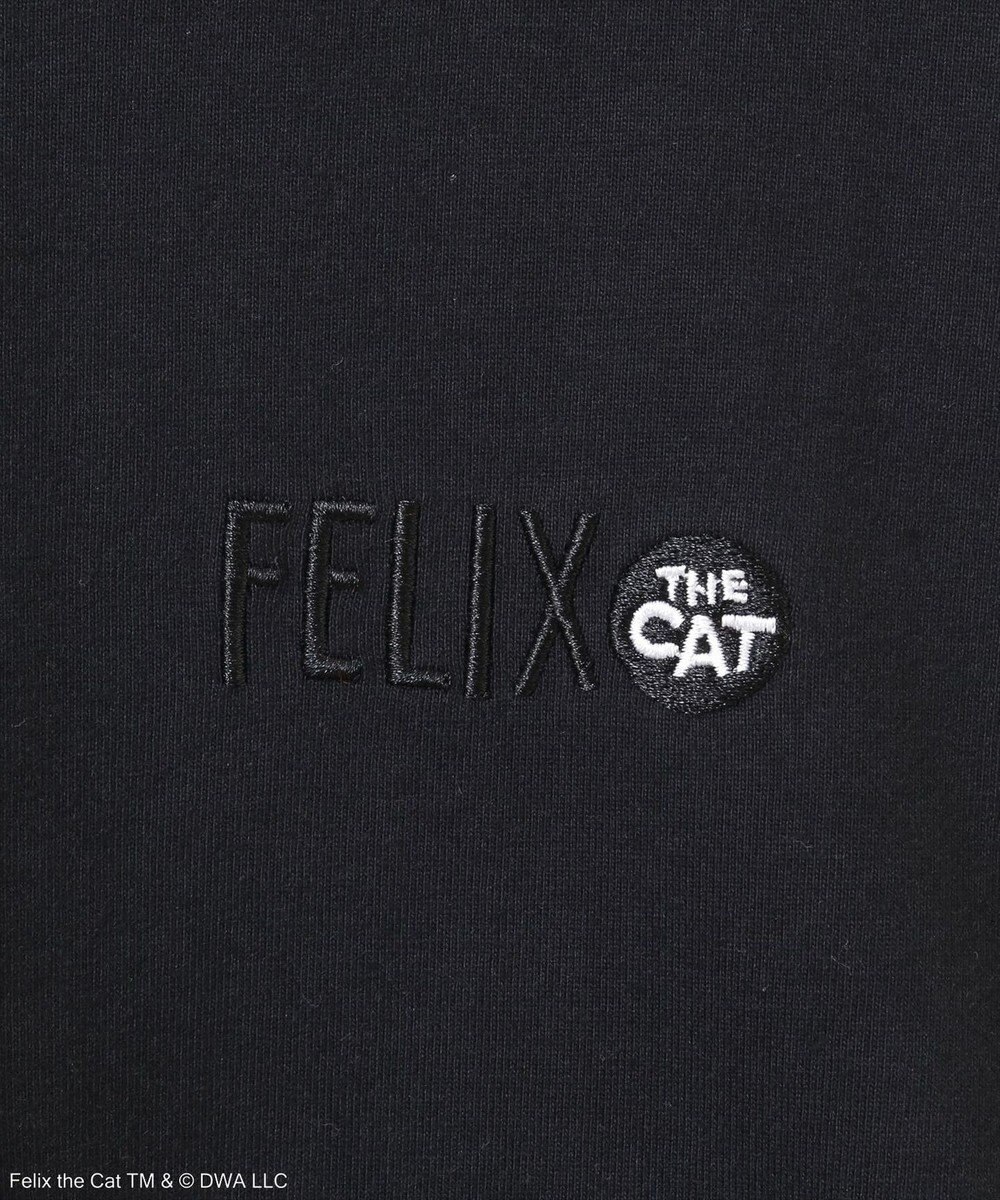 Green Parks ■ＦＥＬＩＸ　グラフィックバックｐｔ　ロンＴＥＥ 