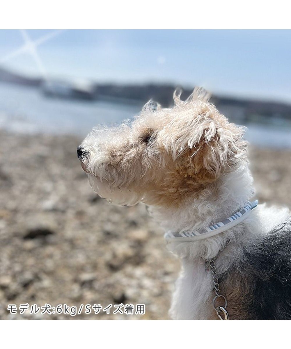 PET PARADISE クールリング 犬 クールネック ひんやり 28℃クールリング 【３Ｓ】 リフレクター 水色 ベージュ  反射材付き 