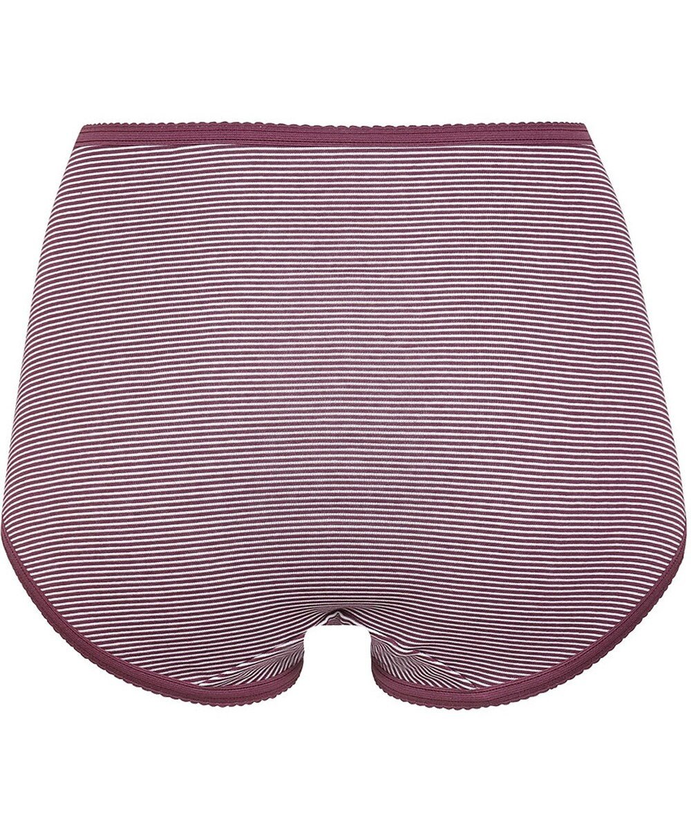 Wing ショーツ　【デイリーフィット】　ボーダー柄　はきこみ丈ふかめ　ウイング／ワコール　EC3620 