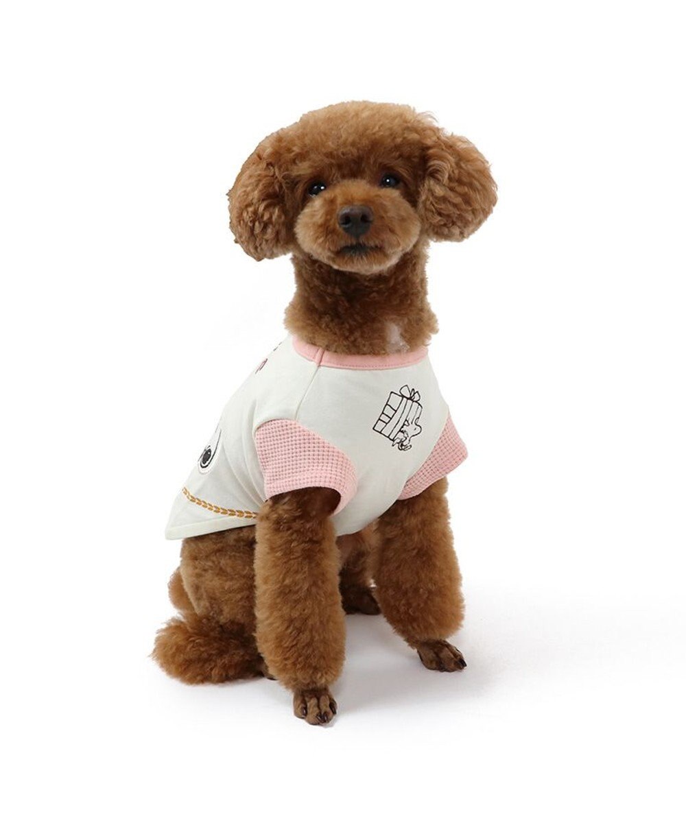 PET PARADISE スヌーピー バースデーＴシャツ 小型犬 