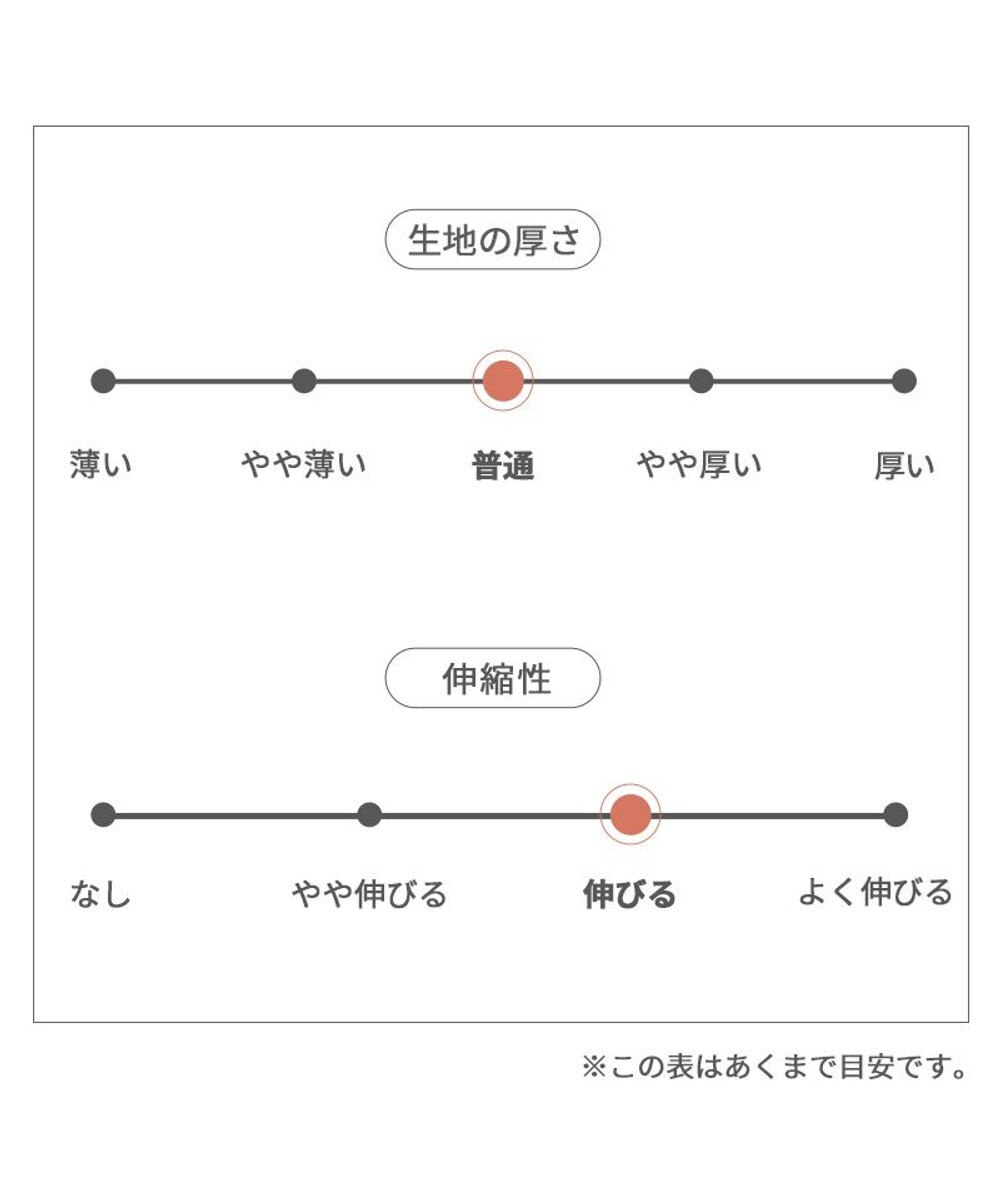 PET PARADISE スヌーピー バースデーＴシャツ 小型犬 