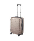 ACE BAGS & LUGGAGE Proteca 360G4 メタリック2 スーツケース 53L Mサイズ 08602 プロテカ