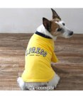 PET PARADISE J.PRESS カレッジ Ｔシャツ 小型犬