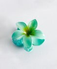 WEGO Lアクリルフラワーバンスクリップ