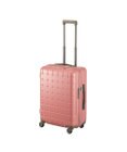ACE BAGS & LUGGAGE Proteca 360G4 スーツケース 日本製 53L 02422 プロテカ