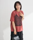 Green Parks ・ＳＵＧＡＲ　ＳＰＯＯＮ　トロンプルイユＴＥＥ