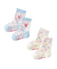 MIKI HOUSE HOT BISCUITS 【9-19cm】 クルー丈 ソックスパック2足セット