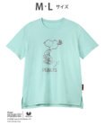 WACOAL PEANUTS トップス 4分袖 Tシャツ 綿100%(本体) スヌーピー レディース FTT168 /ワコール