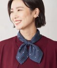 J.PRESS LADIES クラバッティーノ スカーフ