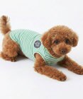 OP／FILA 【Ocean Pacific】ボーダードッグウェア ペットウェア