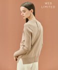 BEIGE， 【WEB限定・洗える】WILLOW / ストレッチクルーネックリブニット