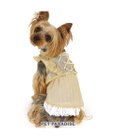 PET PARADISE ペットパラダイス スプリング ワンピース 《イエロー》 超小型犬 小型犬