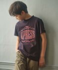J.PRESS KIDS 【140-170cm】ハウスプリント Ｔシャツ