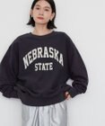 AMERICAN HOLIC ＮＥＢＲＡＳＫＡロゴプリントスウェット①