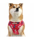 PET PARADISE リサとガスパール ベストハーネス 《パリ柄》 ＳＭ 中型犬
