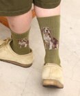 WEGO パターンデザインソックス（R）