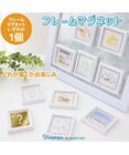 Mother garden しろたん フレームマグネット 単品
