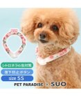 PET PARADISE ペットパラダイス 28℃クールリング SUO 《いちご柄》 〔ＳＳ〕 小型犬