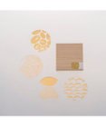 PRESENTERS ROOM toumei / 箔coaster 木箱入り4枚セット ろ
